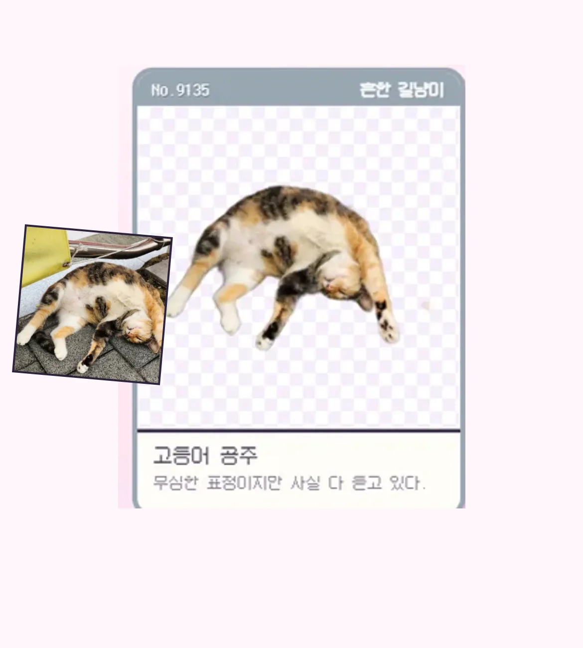 고양이 잡으러 가기 실제 화면 예시