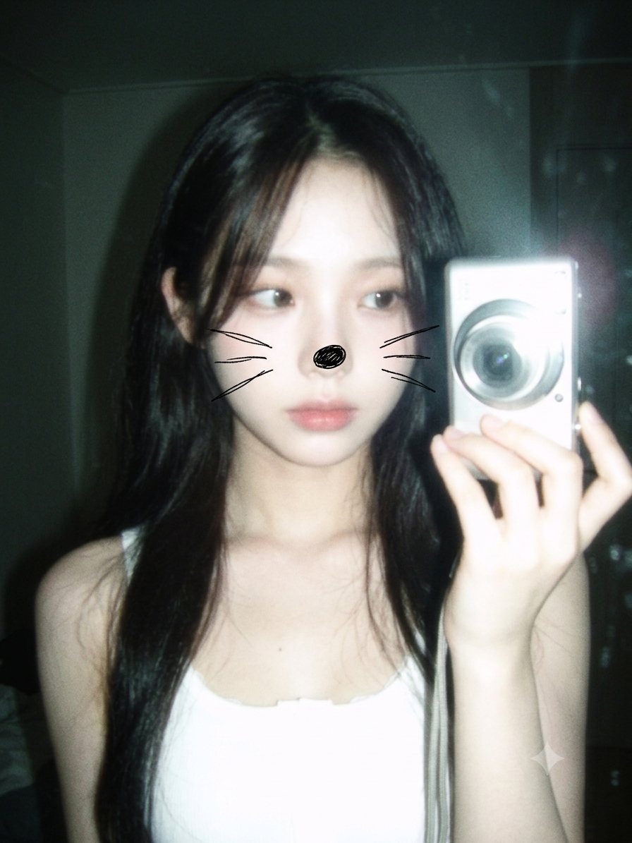 뿌연 옛날 디카 화질에 고양이 코와 수염 낙서를 얹은 싸이월드 감성 거울 셀카 — 프롬프트로 만든 결과 예시